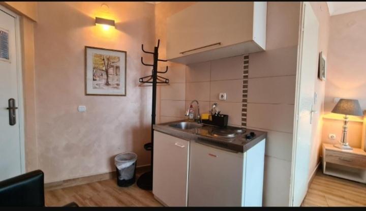 Visoki Stevan Apartments ベオグラード エクステリア 写真